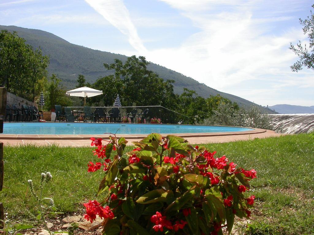 Agriturismo I Mandorli 트레비 외부 사진